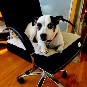 Meet your Posher, Nomnoms